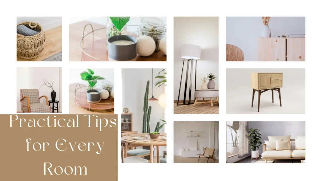 Latest DecoratorAdvice .com and Practical Tips for Every Room